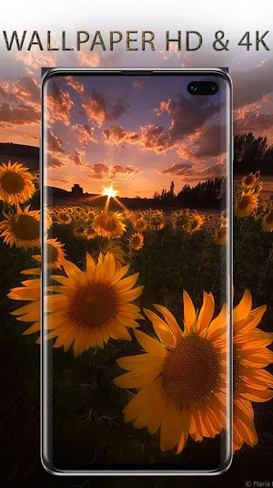 Sunset Screenshot 2