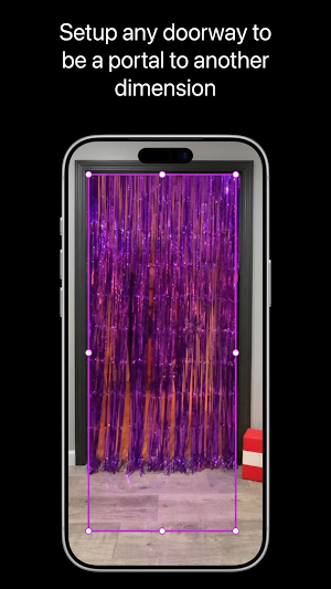 Portal Door Screenshot 0