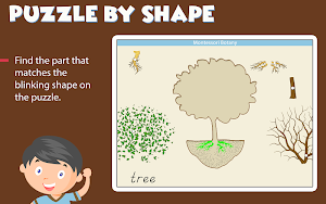Montessori Botany - Parts of P Screenshot 2