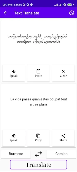 Burmese To Catalan Translator Screenshot 1