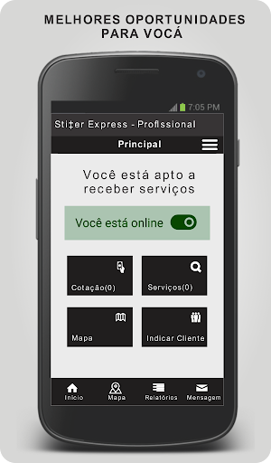 Stifler Express - Profissional Screenshot 3