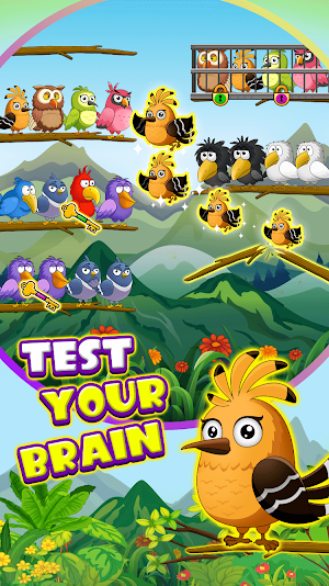 Bird Match :Color Sort Game Screenshot 1
