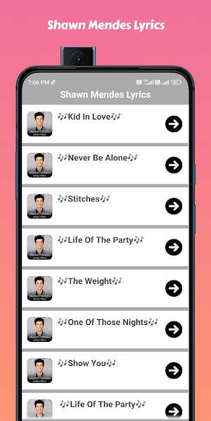 Shawn Mendes Song Lyrics Screenshot 2