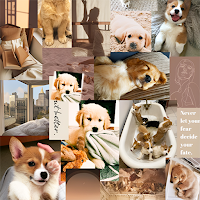 Puppy aesthetic wallpapers