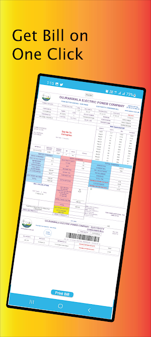 GEPCO Bill Screenshot 3