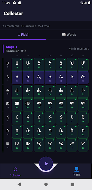 Fidel Play Screenshot 0
