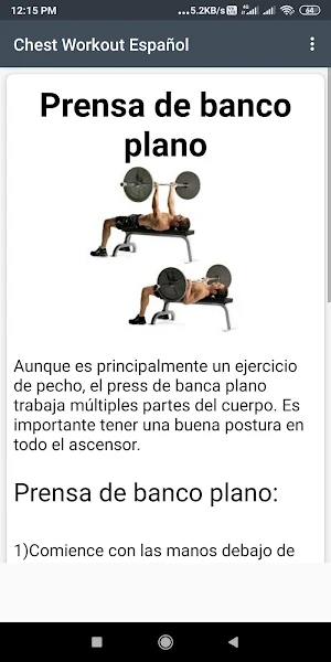 Chest Workout Español Screenshot 1
