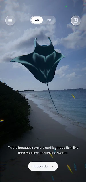 Manta Story Screenshot 1
