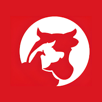 El Ángel Supermercado