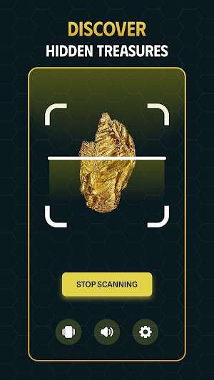 Metal Finder: Coin Identifier Screenshot 2