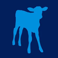Calf Milk Ration™