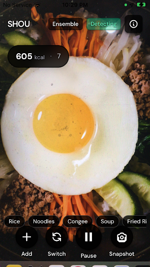 SHOULEMA Screenshot 1