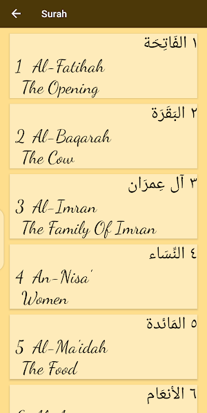 Saad Al-Ghamidi Offline Screenshot 2