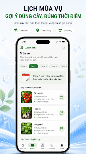 Luân Canh Screenshot 1