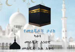 World Masjid History - Kaaba, Medina and Al Aqsa Screenshot 0