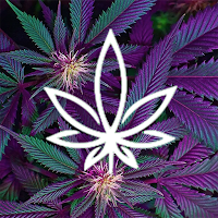 The Dispensary