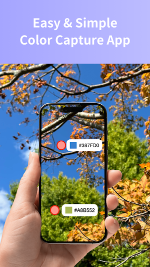 PixiColor | Live color capture Screenshot 0