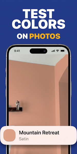 Paint Color Match Screenshot 3