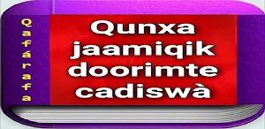 Qunxa jaamiqk doorimte cadiswà Screenshot 0