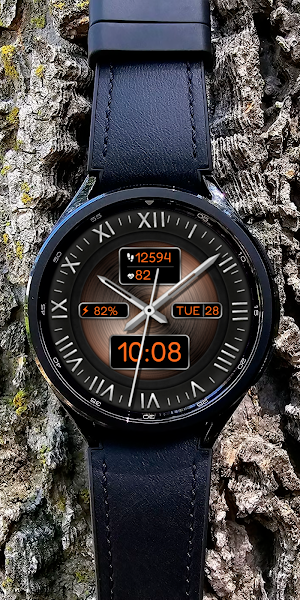 Hybrid PUNKET Watch face Screenshot 2