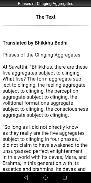 Phases of Clinging Aggregates Screenshot 1