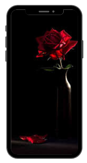 Black Wallpaper Aesthetic HD Screenshot 2