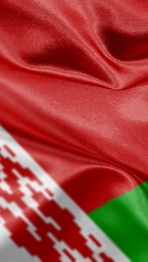Belarus Flag Wallpaper Screenshot 2