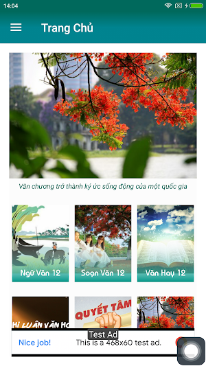 Soạn Văn Lớp 12, Đề Thi Văn 12 Screenshot 1