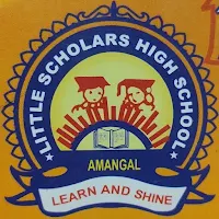 Little Scholars High School