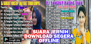 Dj Dangdut Remix Offline Screenshot 1