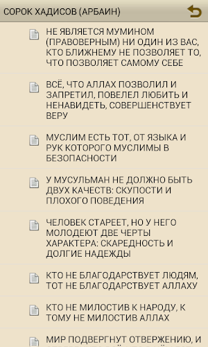 СОРОК ХАДИСОВ (АРБАИН) Screenshot 2