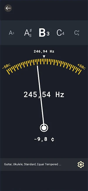 Baglama Tuner: Saz & Guitar Screenshot 3
