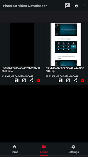 Pinterest Video Downloader Screenshot 2