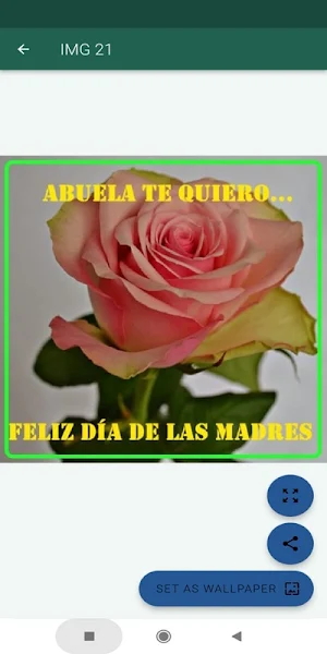 Flores para mamá Screenshot 2