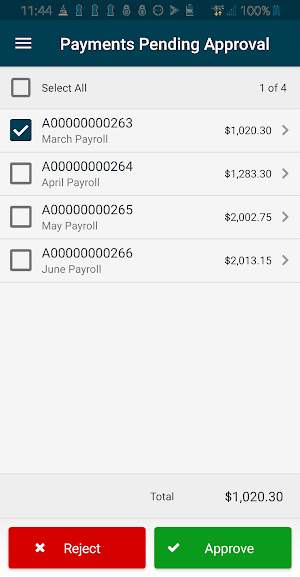 RockPointBank Treasury Screenshot 3