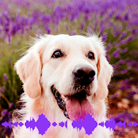 Dog Soundboard 101