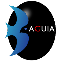 AGUIA21 - MOTORISTA