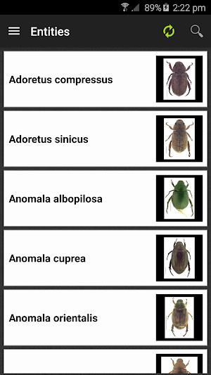 Hawaiian Scarab ID Screenshot 3