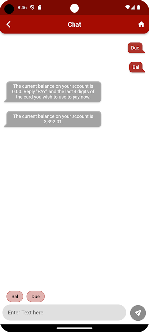 Express RTO Screenshot 2