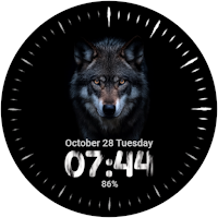 Wolf Face