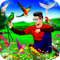 Bird Photo Editor