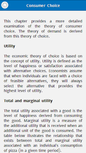 Basic Microeconomics Screenshot 2