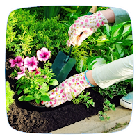 Garden Care Guide
