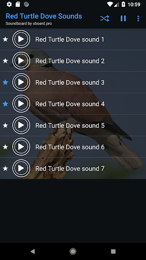 Red Turtle Dove Sounds ~ Sboar Screenshot 3