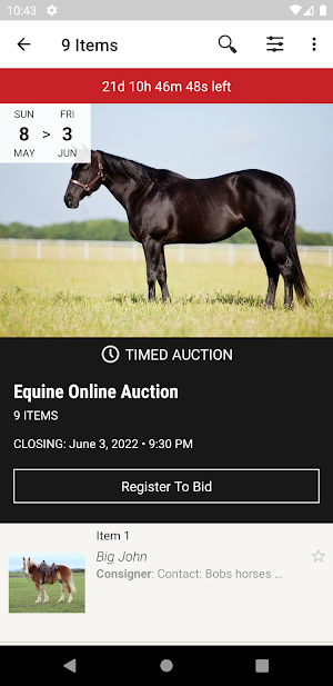 Equine Online Auction Screenshot 1