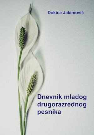 Dnevnik Screenshot 1