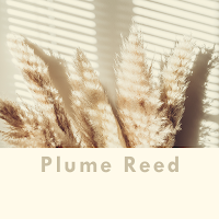 Plume Reed Theme +HOME