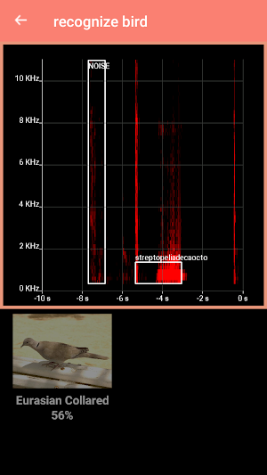 Bird Identification Screenshot 2