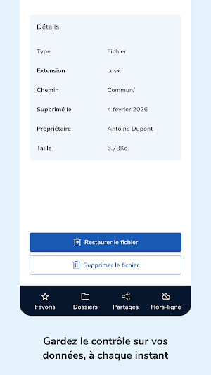 NetExplorer Workspace Screenshot 3