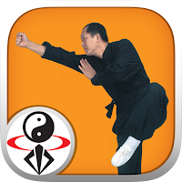 Shaolin Kung Fu